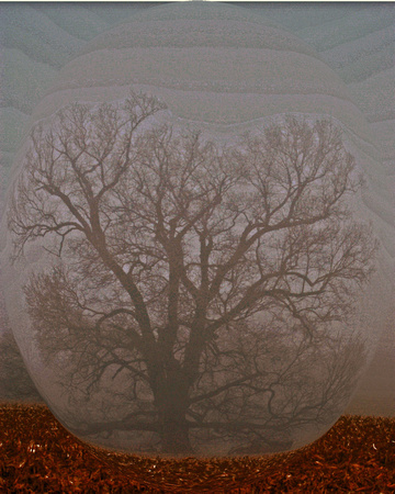 art tree fog2