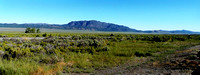 P1020996 copy