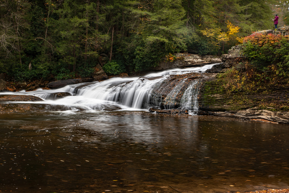 Swallow falls state park