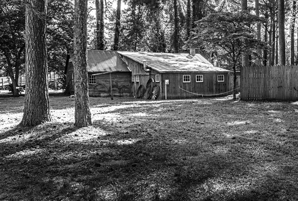 JWM_8551 copyB&W