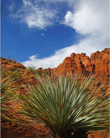 Red Rock Canyon 2