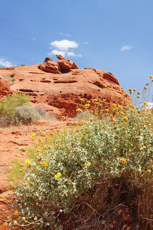 St. George 1