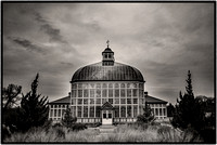 sepia