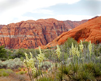 Snow Canyon 6