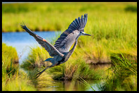 GBH Takeoff